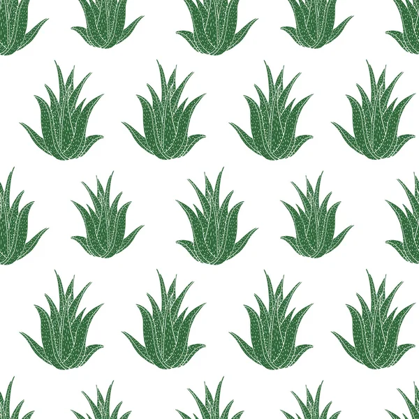 Seamless vector pattern with aloe vera. Creative hand drawn texture aloe leaves on white. Hand drawn floral pattern. Ready design for cosmetics products, healthy care, etc. — Stock Vector