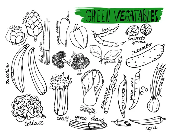 Зелені овочі. Рука намальовані контурні векторні об'єкти — стоковий вектор