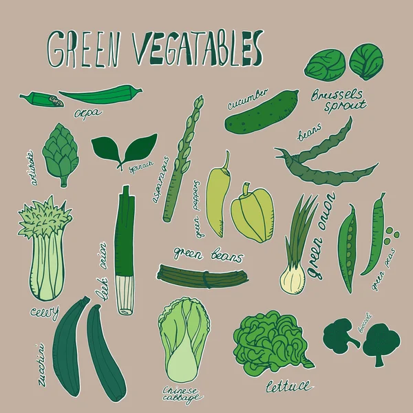 Зелені овочі. Векторна рука намальованих об'єктів з білим контуром — стоковий вектор
