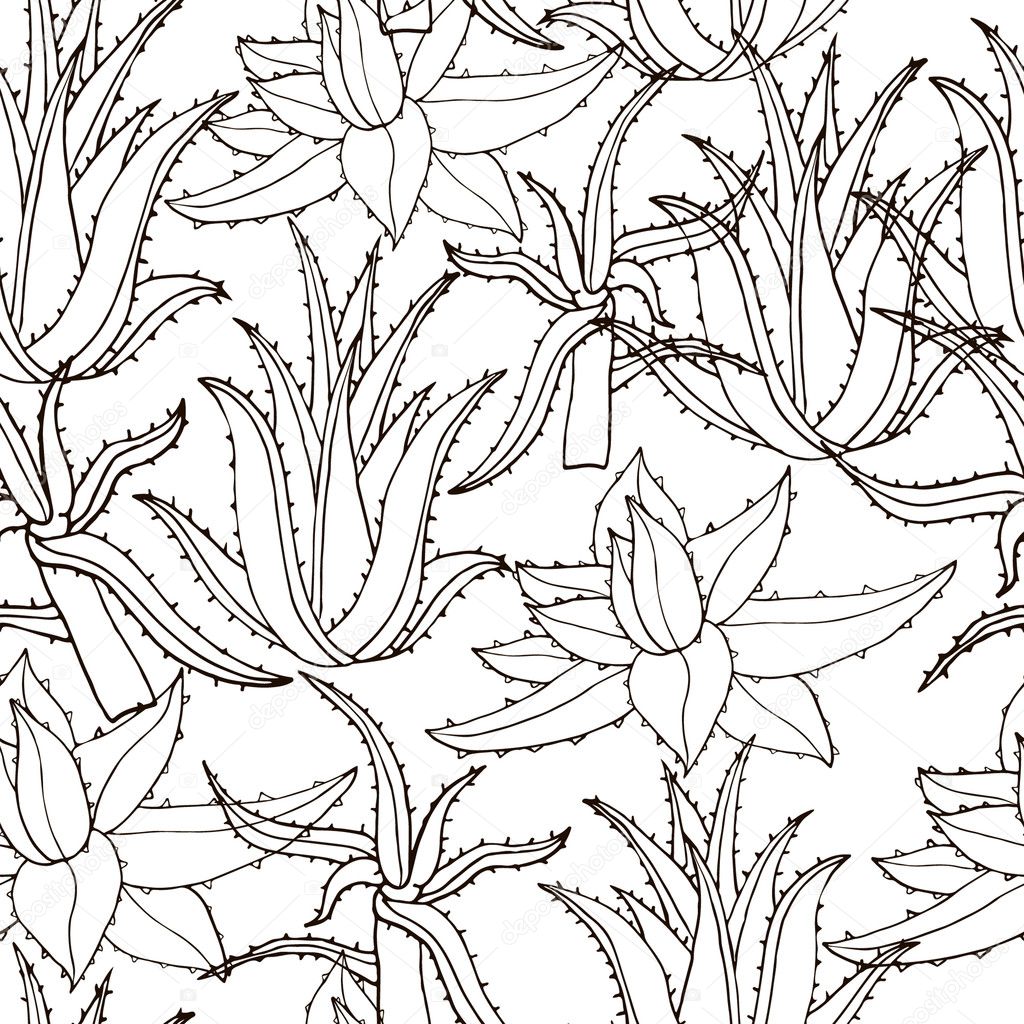 Seamless vector pattern with aloe vera. Creative  hand drawn texture aloe leaves on white. Line drawing background. Monochrome  hand drawn floral pattern