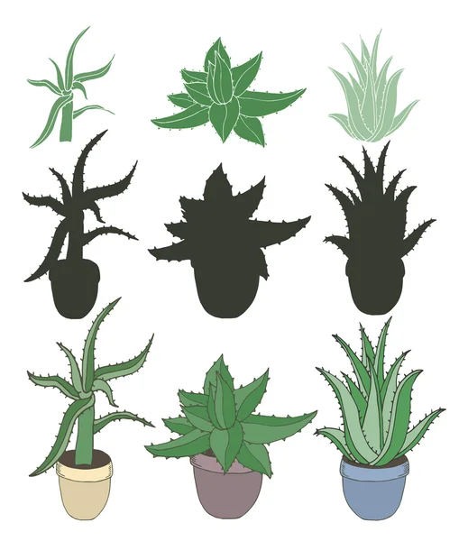 Aloe vera üzerinde beyaz izole tencere. Farklı türü Aloe Vera siluetleri ile kümesi. Vektör çizim