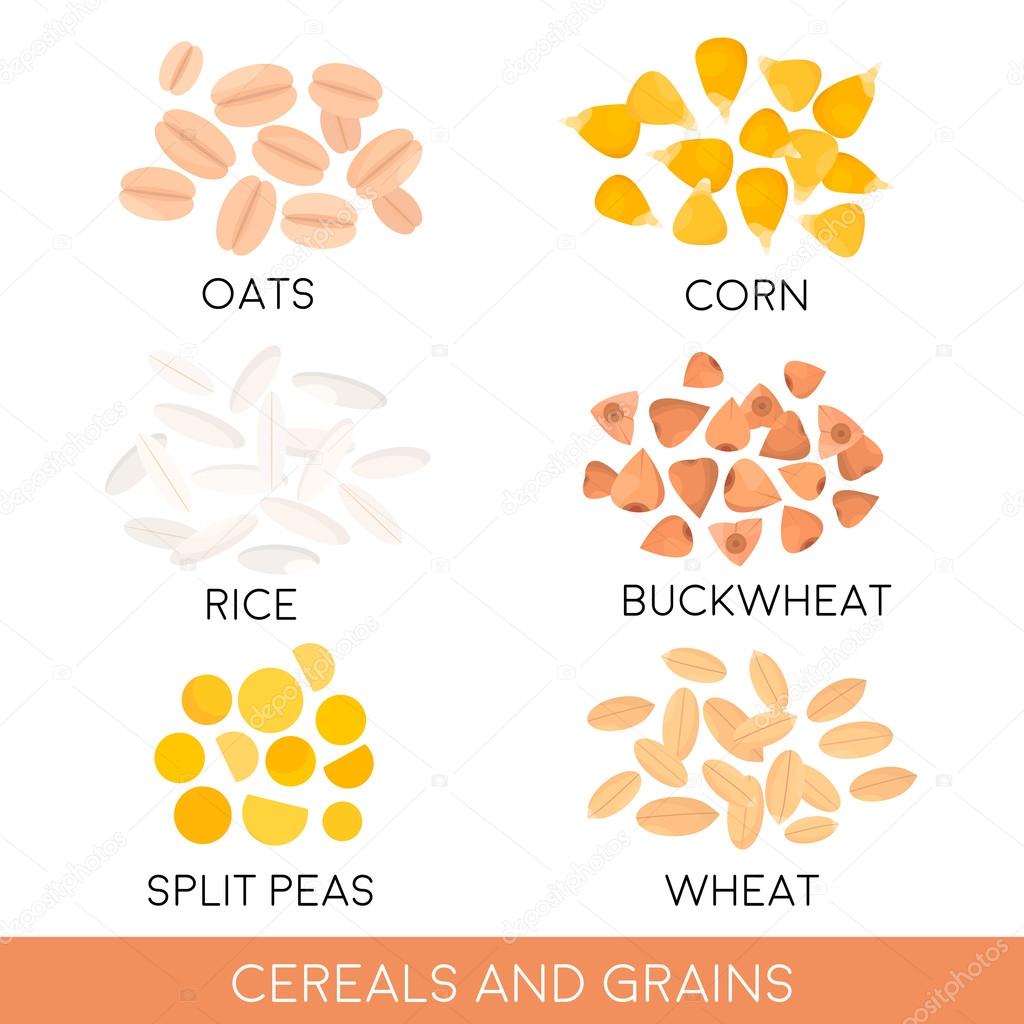 Cereals and grain, oats, rice, corn, split peas, wheat, buckwheat ...