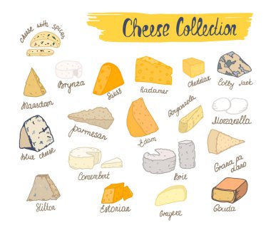Renkli peynir koleksiyonu. Peynir çeşitleri vektör çizim el tarzı çizilmiş. Beyaz peynir Isolated