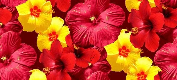 Nahtloses Muster Hibiskus Blume Textur Stoff Tapete Verpackungspapier — Stockvektor