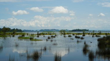 Çimlerle çevrili sakin bir göl, berrak su mavi gökyüzünü ve arka plandaki uzak dağları yansıtıyor..