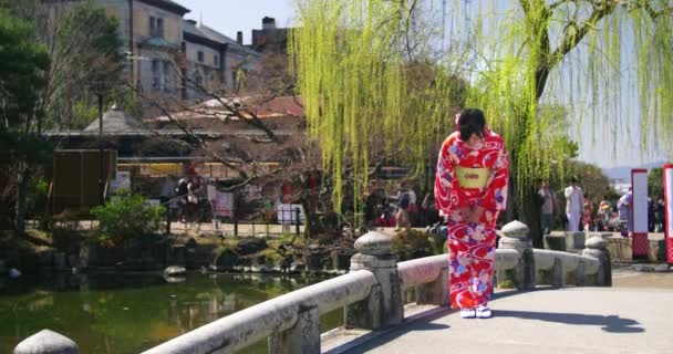 Kimono güzel Japon kızı kameraya yay — Stok video