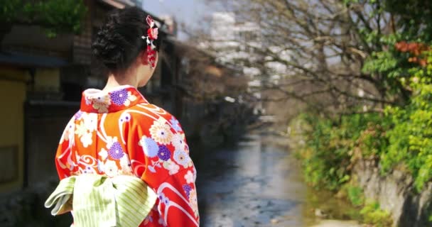 Menina japonesa bonita em Kimono se vira para a câmera de tiro médio — Vídeo de Stock