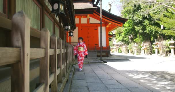 Beautiful Japanese Girl in Kimono walks in Kyoto — Stock Video