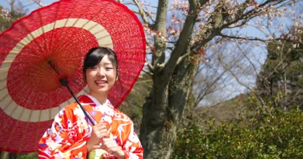 Menina japonesa bonita em Kimono com paracel fica na frente da árvore Sakura — Vídeo de Stock