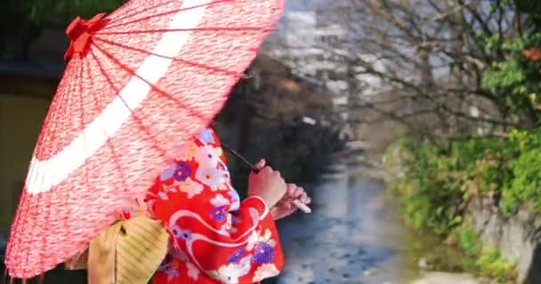 Zoete Japanse meisje in Kimono en paracel draait zich naar de camera — Stockvideo