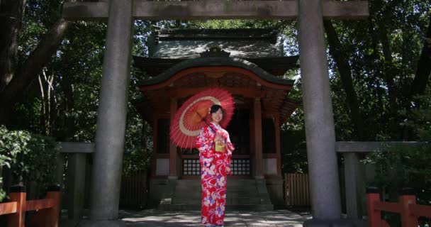 Giovane divertimento ragazza giapponese che indossa kimono gira un paracel al tempio — Video Stock