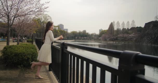 Привлекательная японская девушка в белом платье сакура смотреть улыбки на камеру широкий снимок скольжения 4K . — стоковое видео