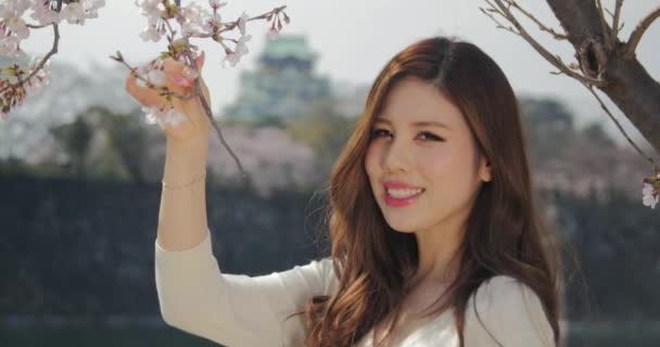 Menina japonesa atraente vestindo vestido branco cheira as flores de cereja sakura no parque do castelo de Osaka e sorri para a câmera 4K — Vídeo de Stock