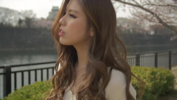 Atractivas jóvenes japonesas caminando a través de árboles de flor de cerezo sakura en el parque del castillo de Osaka — Vídeo de stock