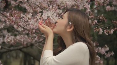Neşeli çiçeği sakura kokulu ve üfleme güzel Japon kızı ağır çekim yapraklar 