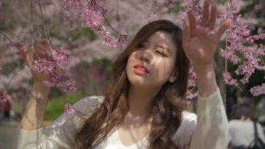 Güzel Japon kız amzing kiraz çiçeği sakura ağacı yavaş hareket altında yürüyüş 