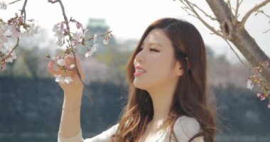 Güzel Japon genç kadın kokuyor kiraz çiçekleri sakura Osaka Kalesi Park'ta 4k 
