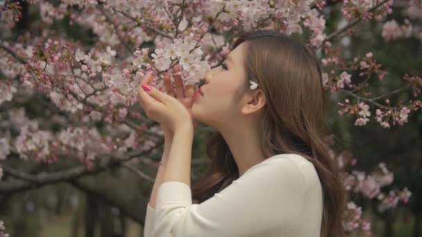 Menina japonesa bonita cheirando sakura flor alegre e folhas de sopro câmera lenta — Vídeo de Stock