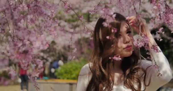 Bella ragazza Japanse indossa mentre cammina attraverso gh e odora incredibili alberi di sakura in pieno bloon, Giappone 4K — Video Stock