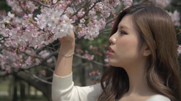 Krásné mladé japonské ženy hraje s květinami a její vlasy zpomalené 
