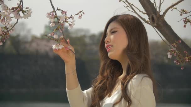 바람 부는 머리 냄새가 벚꽃 오사카 성 배경 슬로우 모션 일본 젊은 여성 — 비디오