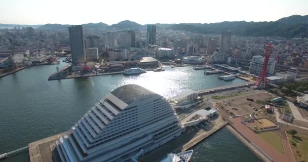 Kobe Japão barcos de velocidade do porto grande ângulo de alta vista aérea — Vídeo de Stock