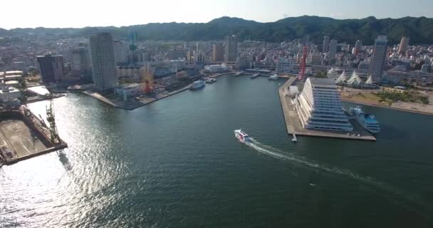 空撮クルーズ船の旅行目的地日本の神戸港にドッキング — ストック動画