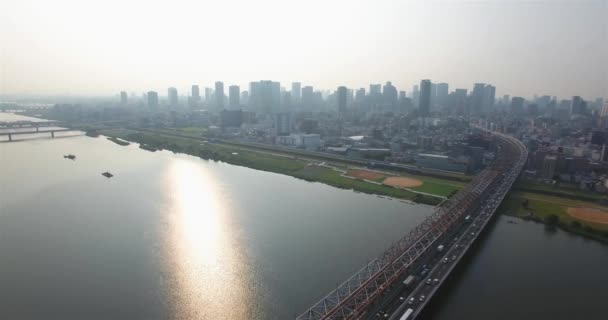 大阪市の二番目に大きい都市に流れるトラフィックの航空写真 ロイヤリティフリーのストック動画