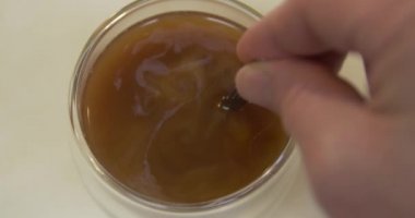 Taze yapılmış kahve 4 k süt karıştırma