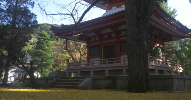 Templo famoso em Kyoto Japão — Vídeo de Stock