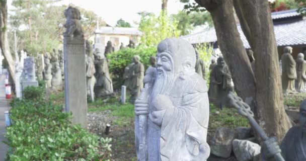 Statues à Kyoto Japon — Video