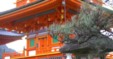 Orta açı taşıma büyük portakal Tapınağı açığa vurdu