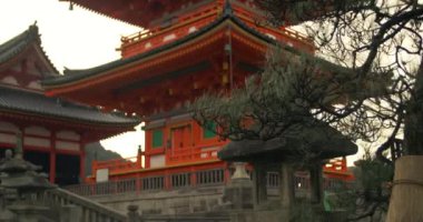 Bir ağaç ve Japonya'da turuncu Tapınağı uçan kuş çekim kayar