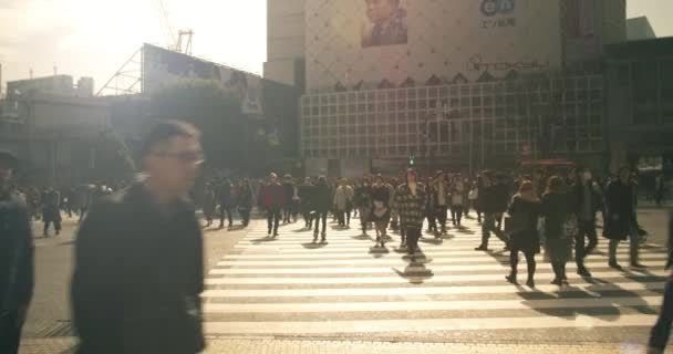 Zu Fuß durch Menschenmengen am Shibuya-Übergang Tokyo — Stockvideo