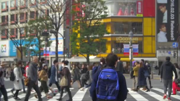 Marcher à travers les foules à Shibuya traversant Tokyo — Video