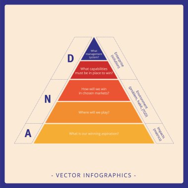 DNA piramit diyagramı