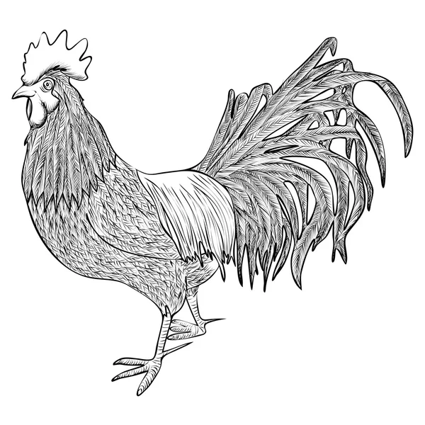 Rooster Vector Icon — Stock Vector
