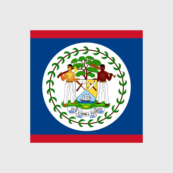 Belize flagga — Stock vektor