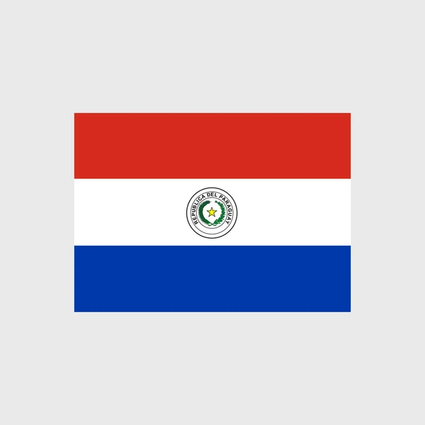 Národní vlajka Paraguaye — Stockový vektor