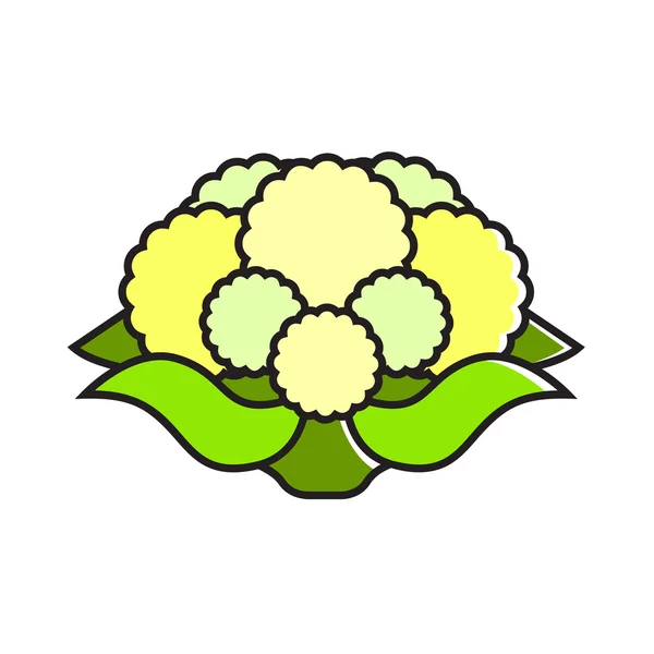 Bloemkool lijn pictogram — Stockvector