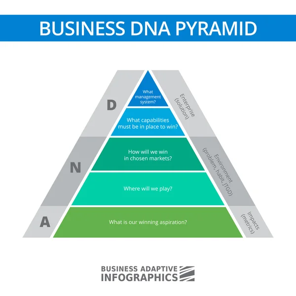 Diagramma di piramide del DNA aziendale — Vettoriale Stock