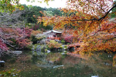 Recai Ji, Kyoto, Japonya