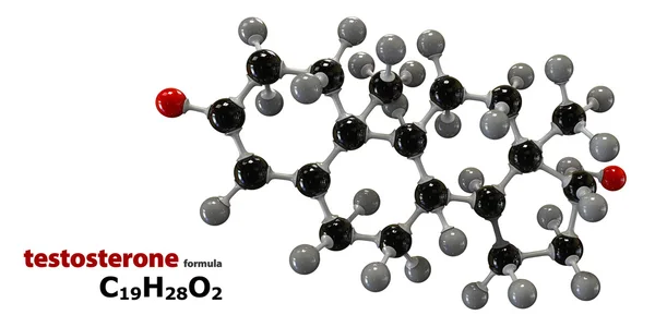 Testosteron-Neurotransmittermolekül — Stockfoto