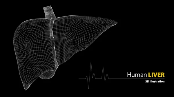 Anatomía del hígado humano sobre fondo negro — Foto de Stock