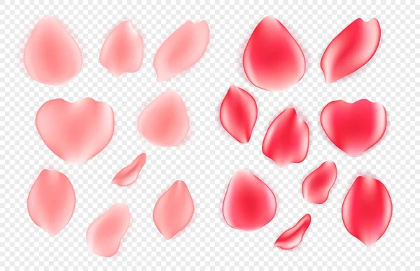 Set of realistic pink ang red rose petals — Stock Vector