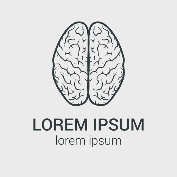 Лінія векторного значка мозку на сірому фоні. Одиночний логотип з графічною ілюстрацією людського мозку . — стоковий вектор