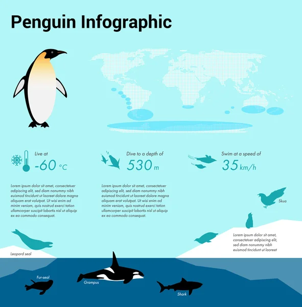 Penguins infographic. Emperor penguin. Flat design element. — Stockový vektor