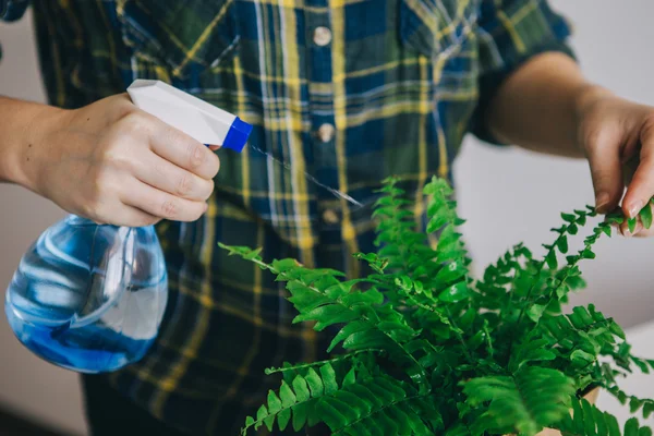 Frau sprüht Pflanze — Stockfoto