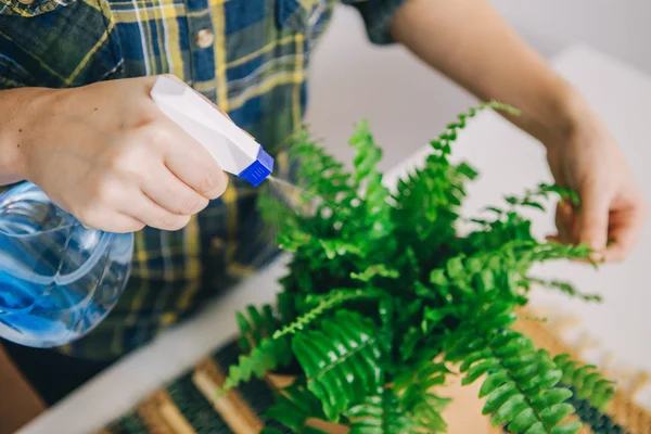 Woman spraying plant — Stock Photo, Image