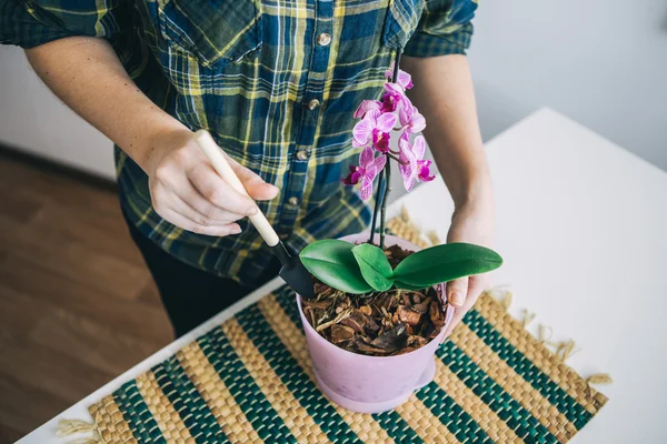 Žena pečující orchidej květina — Stock fotografie